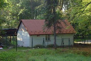 DSC08644_th